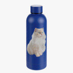 Термобутылка