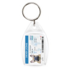 Собачьи права