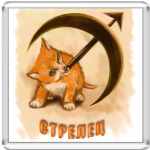  Стрелец