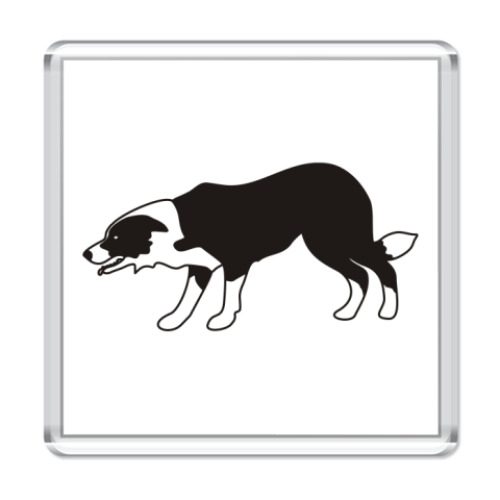 Магнит   ПАСТЬБА