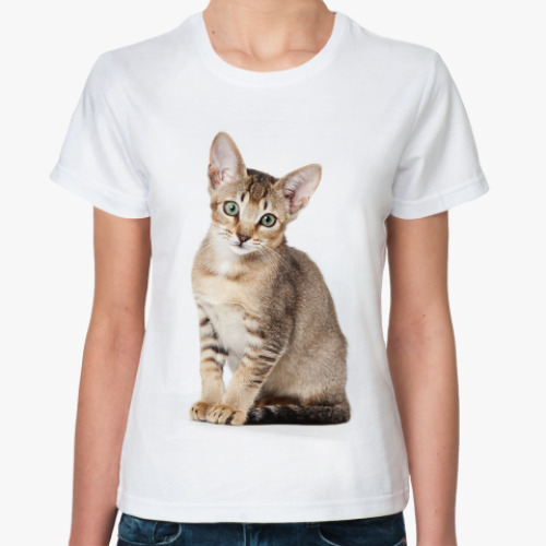 Классическая футболка Котики, котята, кошки