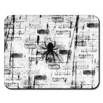 Паук на стене