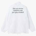 Ветровка с капюшоном