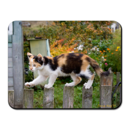 Коврик для мыши с принтом  Walking