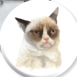 Grumpy Cat