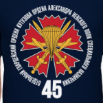 45гв. ОПСпН ВДВ