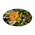 Пчела на цветке