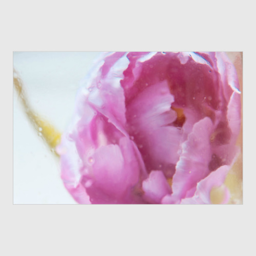 Постер Акварельный цветок