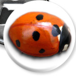  Полети на небо