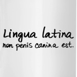Lingua latina