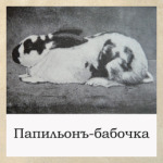 Ретро, начало ХХ века