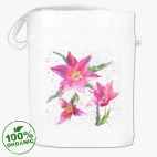 Яркие тюльпаны