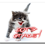 Котэ отаке!