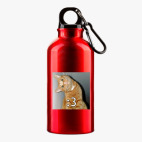 Металлическая бутылка 400 мл UV-DTF