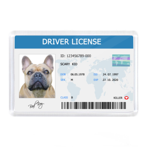 Магнит с принтом Собачьи права