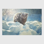 Без кота и жизнь не та