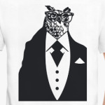 Совы. Совушки. Owl. Owls.