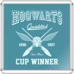 Hogwarts Quidditch Cup Winner