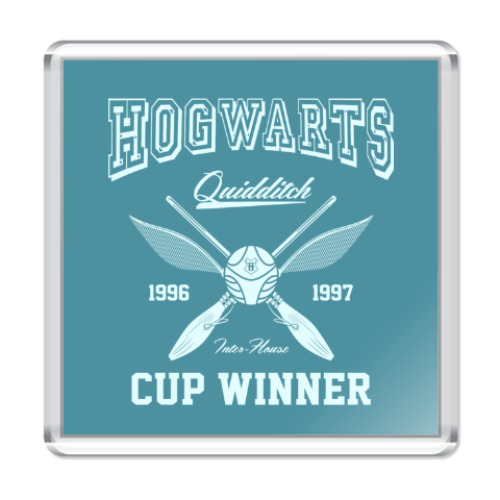 Магнит Hogwarts Quidditch Cup Winner