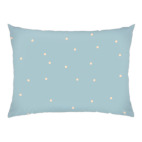 Зимний снег