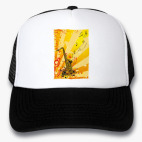 Кепки Trucker