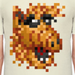 Любитель котов