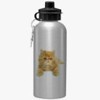 Спортивная бутылка