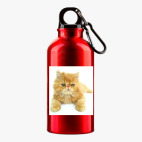 Металлическая бутылка 400 мл UV-DTF