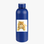 Термобутылка