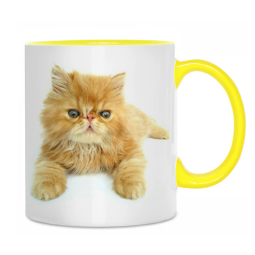 Кружка с принтом КОТИК