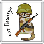 Кот с автоматом Калашникова