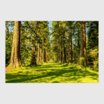 Как прекрасен этот мир