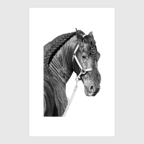 Постер Голова коня