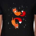 лисы в космосе