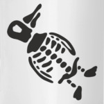 Скелет пингвина