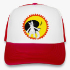 Лунный кот сидит на луне