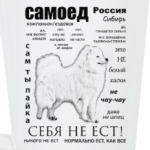 ЧАВО.Взрослый