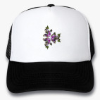 Кепки Trucker