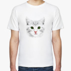 Grey Cat