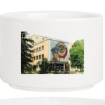 Московский пограничный институт ФСБ России