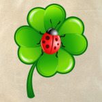  Божья коровка