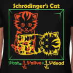 Кот Шрёдингера