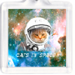 котейка космонавт