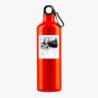 Металлическая бутылка 700 мл UV-DTF