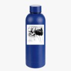 Термобутылка