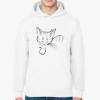 Спящий кот