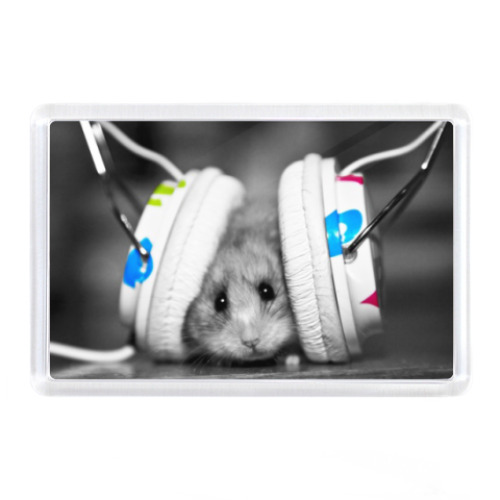 Магнит с принтом Мышка в наушниках