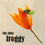 The little froggy