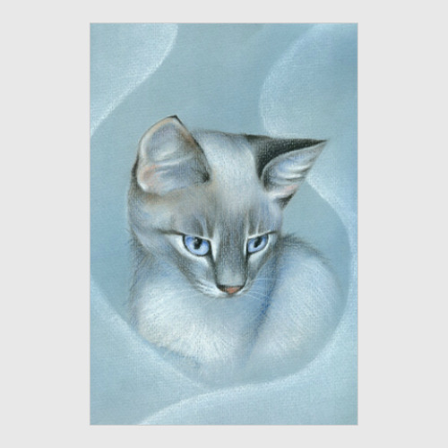 Постер с принтом Блю-тэбби-пойнт