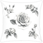 Рисунок роз графитным карандашом